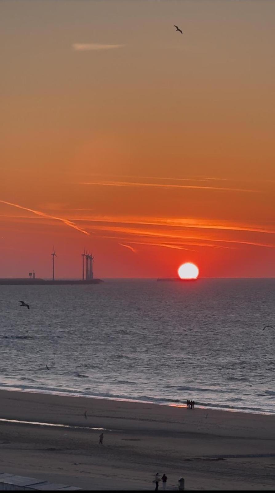 Luxe Studio/Suite Met Zeezicht En Volle Zon Knokke-Heist Kültér fotó
